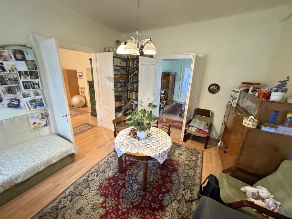 c3-1-name c2-5-name, Gyula, Belváros