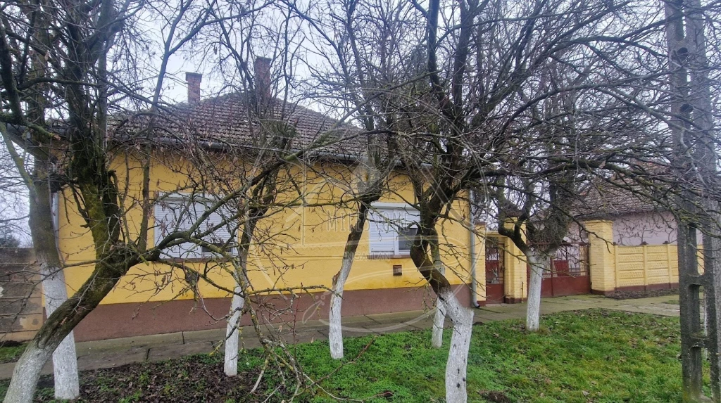 For sale house, Kétegyháza