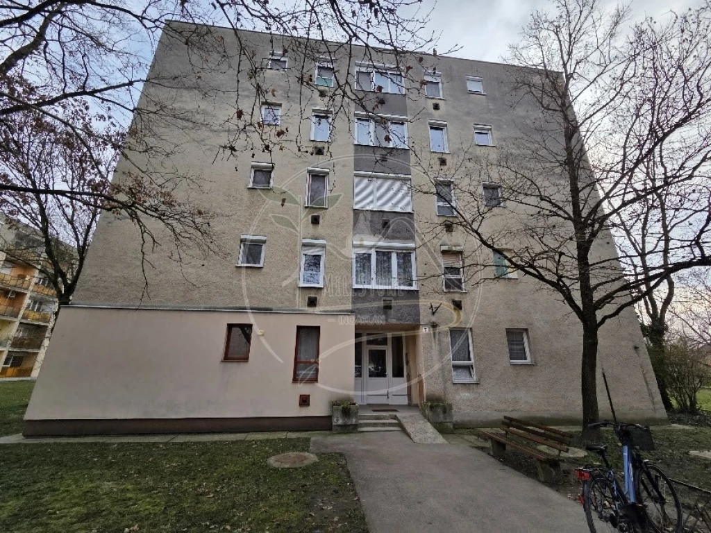 c3-1-name c2-19-name, Gyula