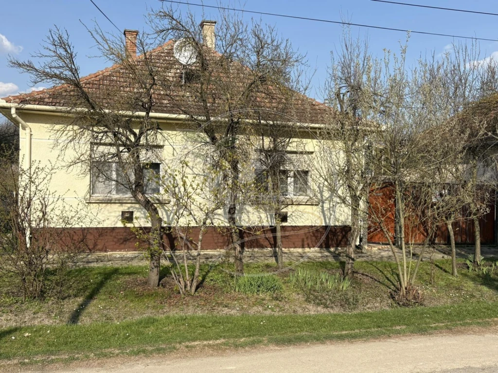 c3-1-name c2-1-name, Gyula, Nagyrománváros