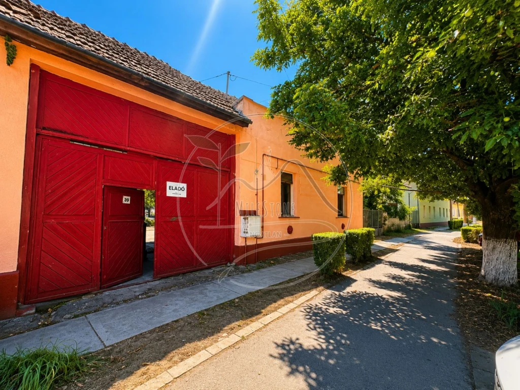 ELADÓ lehetőségekkel teli családi ház eladó Zsadány központjában!