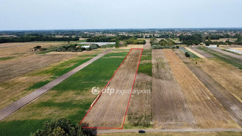 For sale plough-land, pasture, Kistelek, Külterület