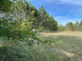 Eladó telek, Kunbaracs