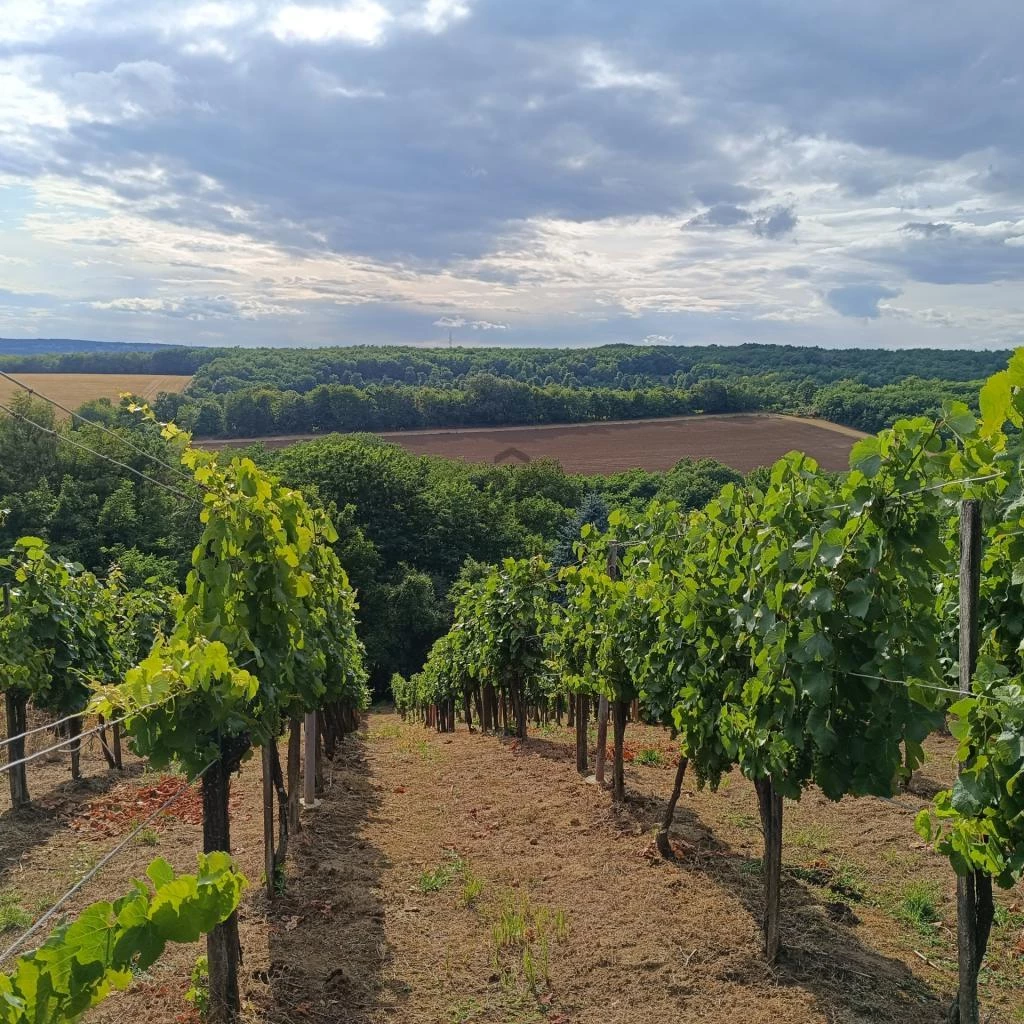 Eladó ház Nagykanizsa, Förhénchegy