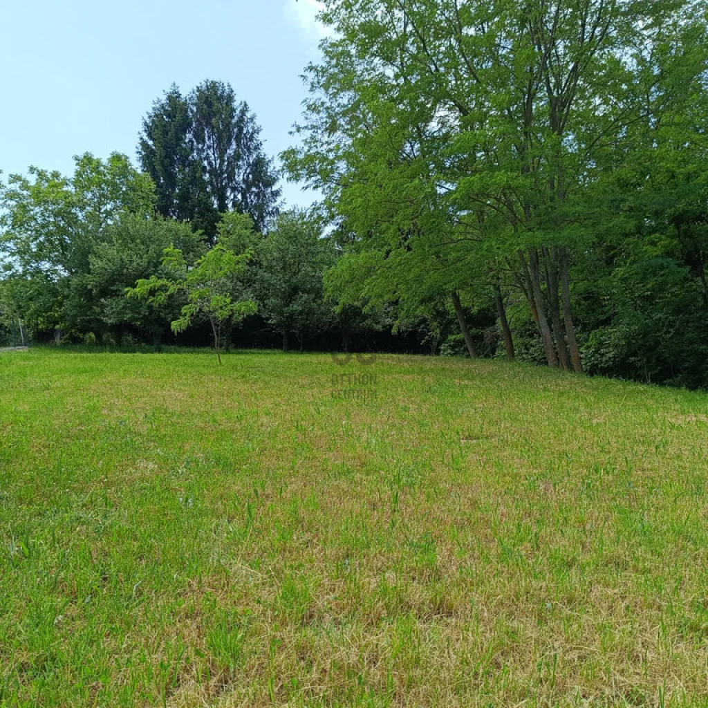 c3-1-name c2-50-name, Zalakaros, Zalakaros