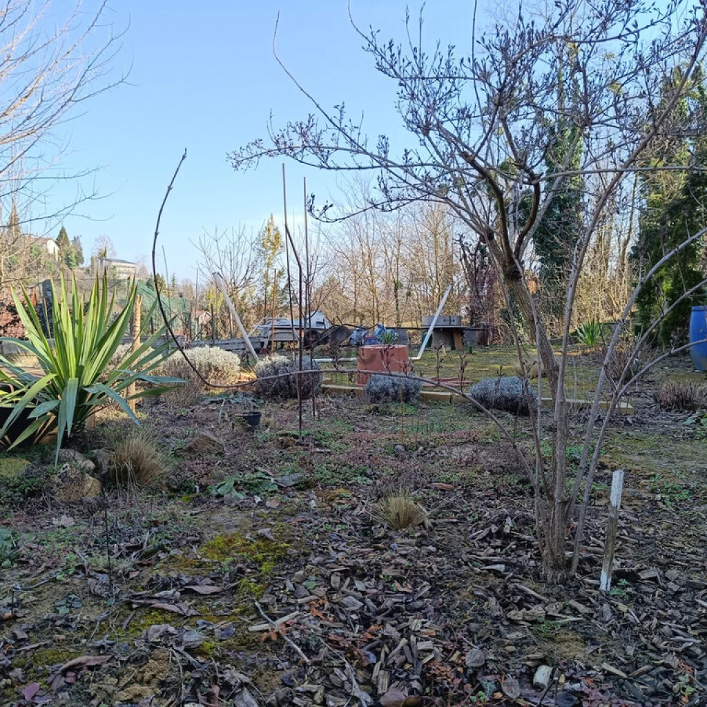 c3-1-name c2-50-name, Zalakaros, Zalakaros