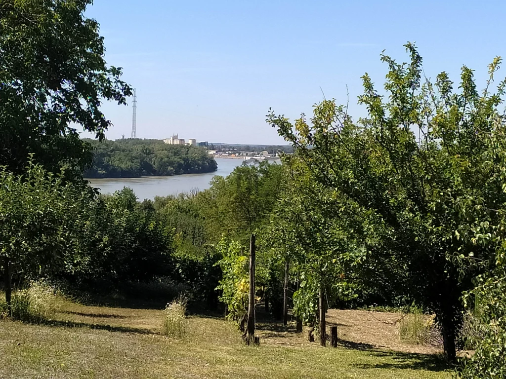 c3-1-name c2-50-name, Mohács, Szőlőhegy