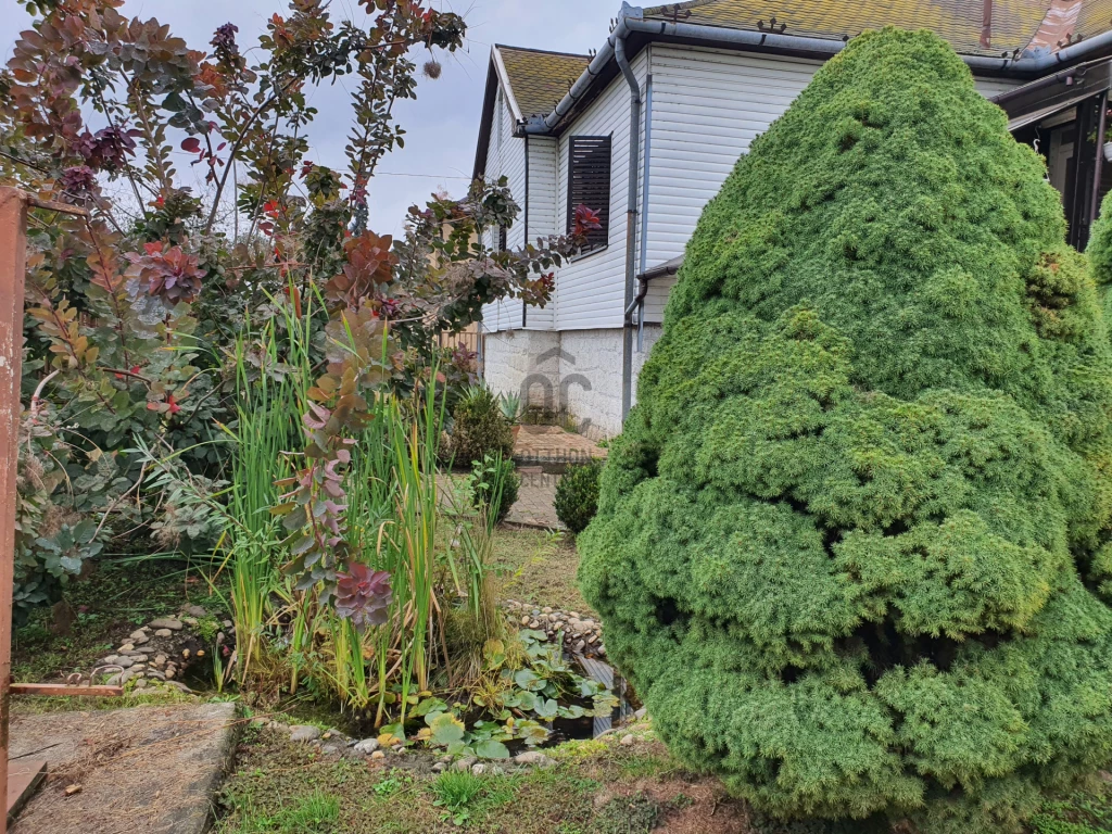 Eladó családi ház, Zsurk, Zsurk