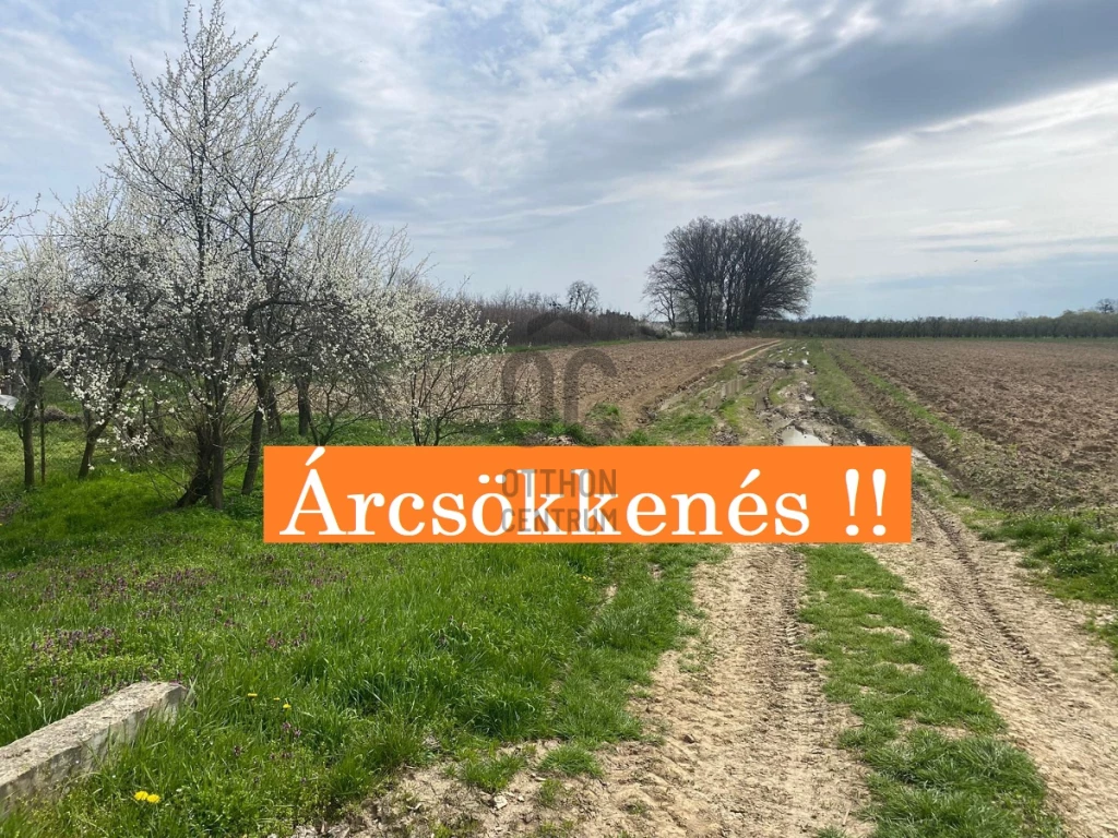 Eladó egyéb mezőgazdasági ingatlan, Lónya, Lónya