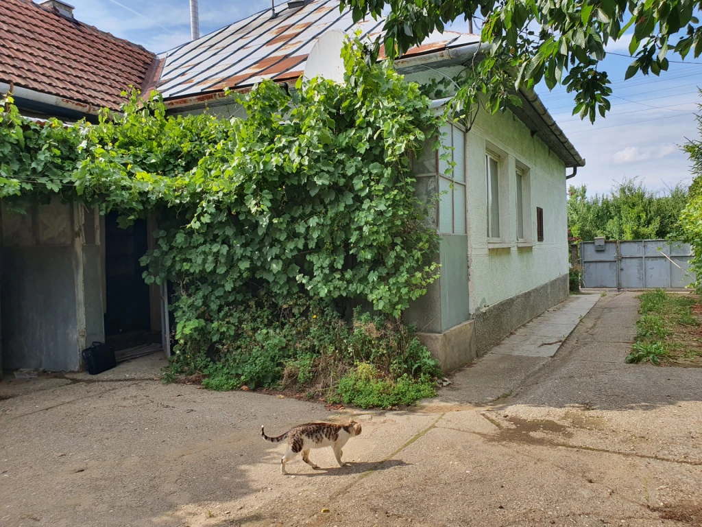 Eladó családi ház, Tornyospálca, Tornyospálca