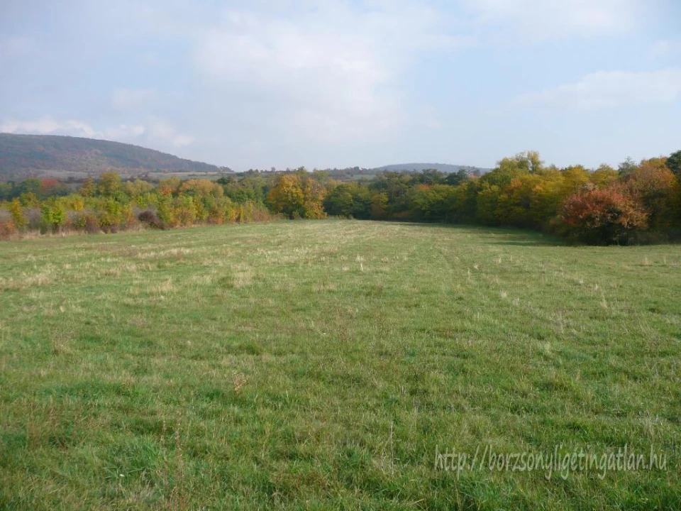 For sale plough-land, pasture, Szokolya