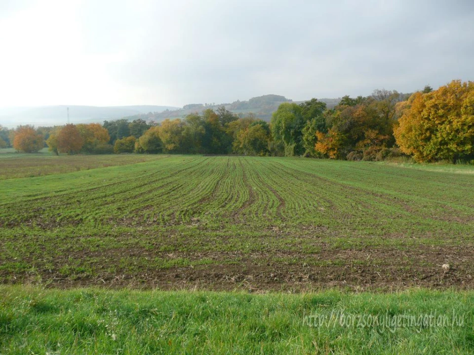 For sale plough-land, pasture, Szokolya