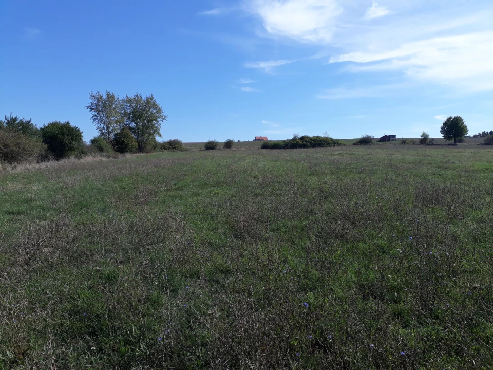 For sale plough-land, pasture, Szokolya