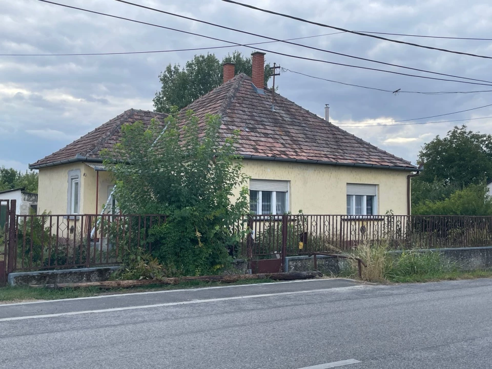 c3-1-name c2-1-name, Homokmégy