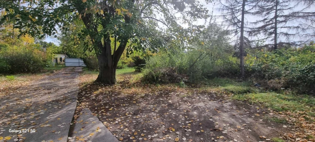 Kiadó Üzlethelyiség, Szeged 250.000 Ft