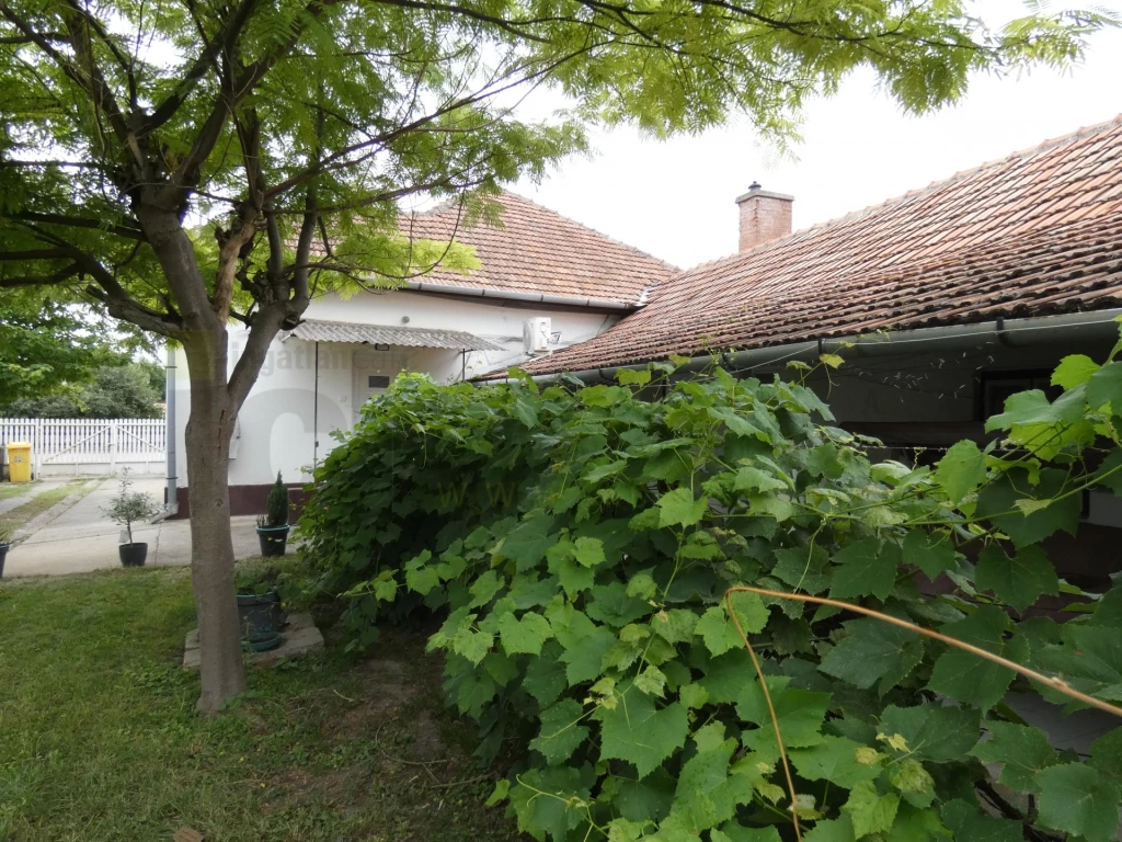 For sale house, Röszke