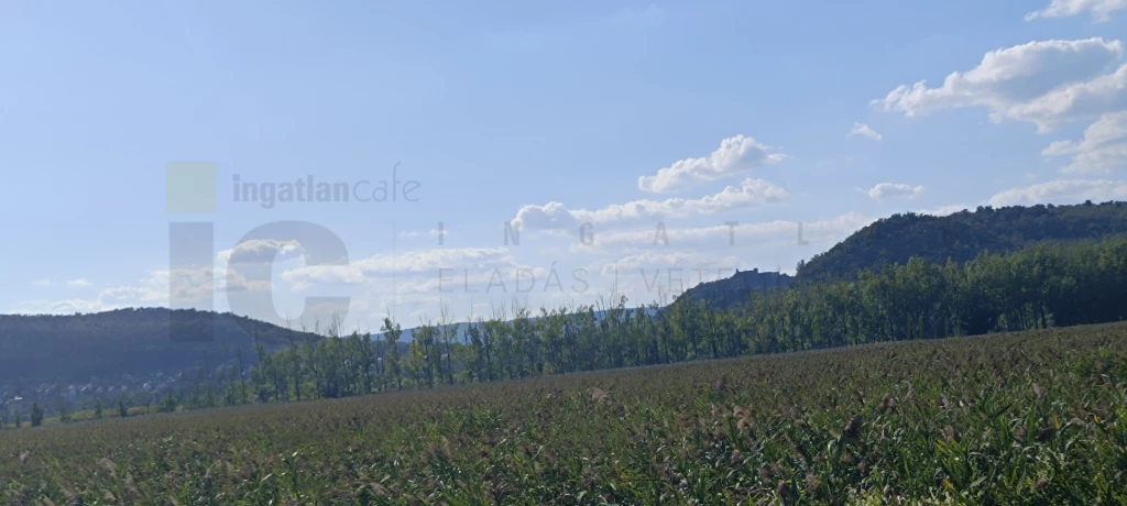 Eladó Telek, Badacsonytördemic 17.900.000 Ft
