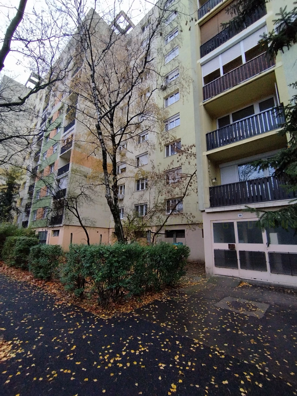 Eladó Lakás, Szeged Zöldfa utca 49.000.000 Ft