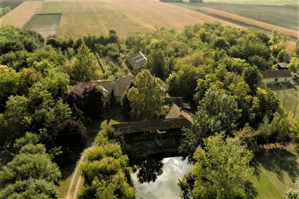 Eladó Mezőgazdasági, Mórahalom 125.000.000 Ft