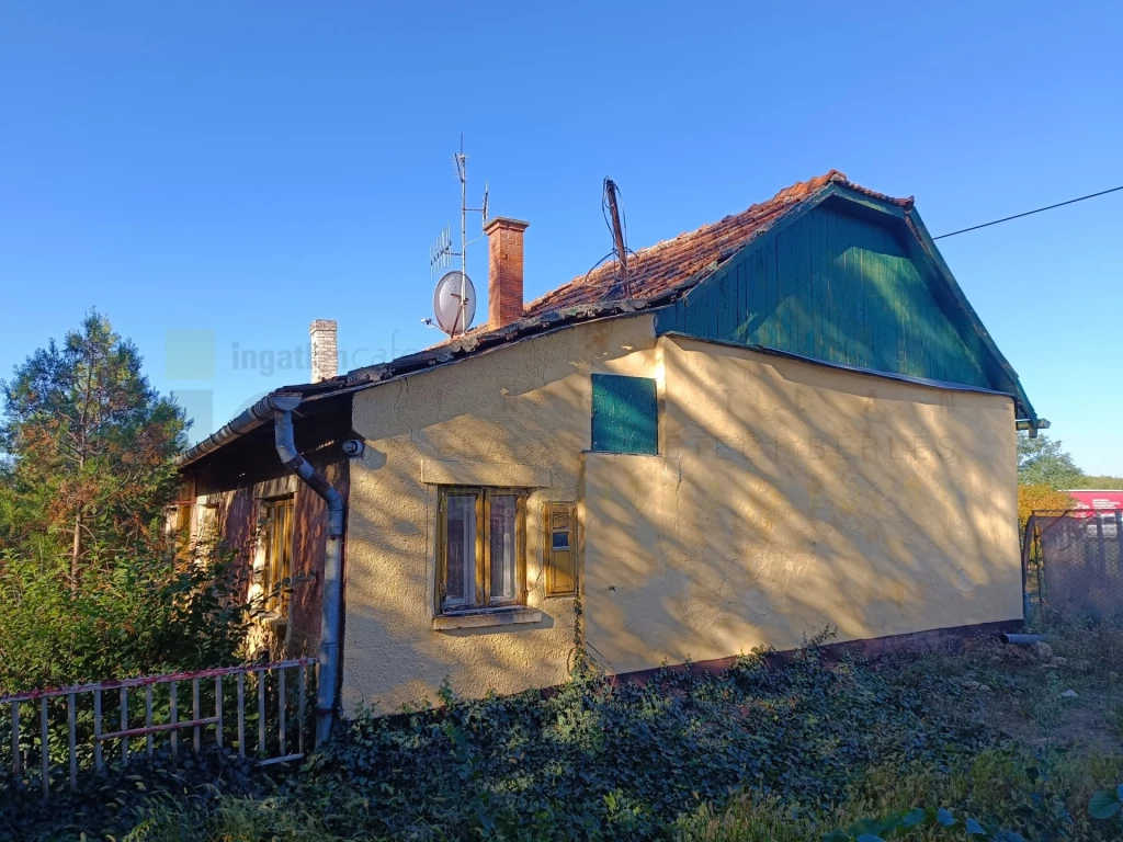 For sale other agricultural, Bordány, Bordány dűlő