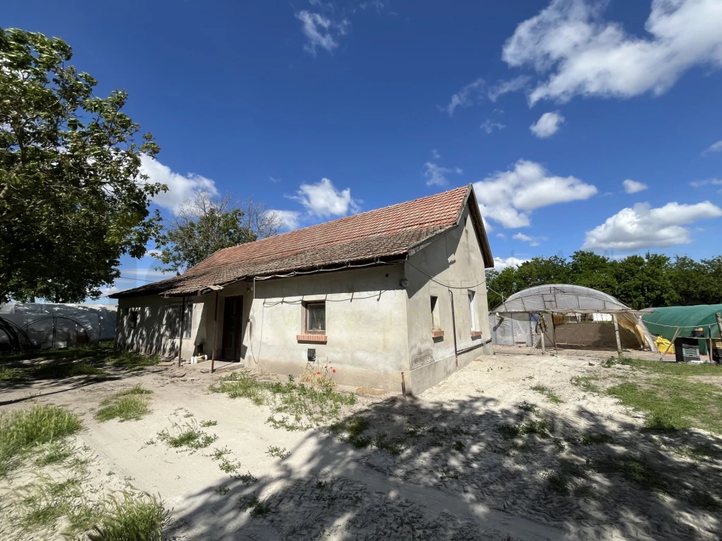 Eladó Mezőgazdasági, Kistelek 45.000.000 Ft