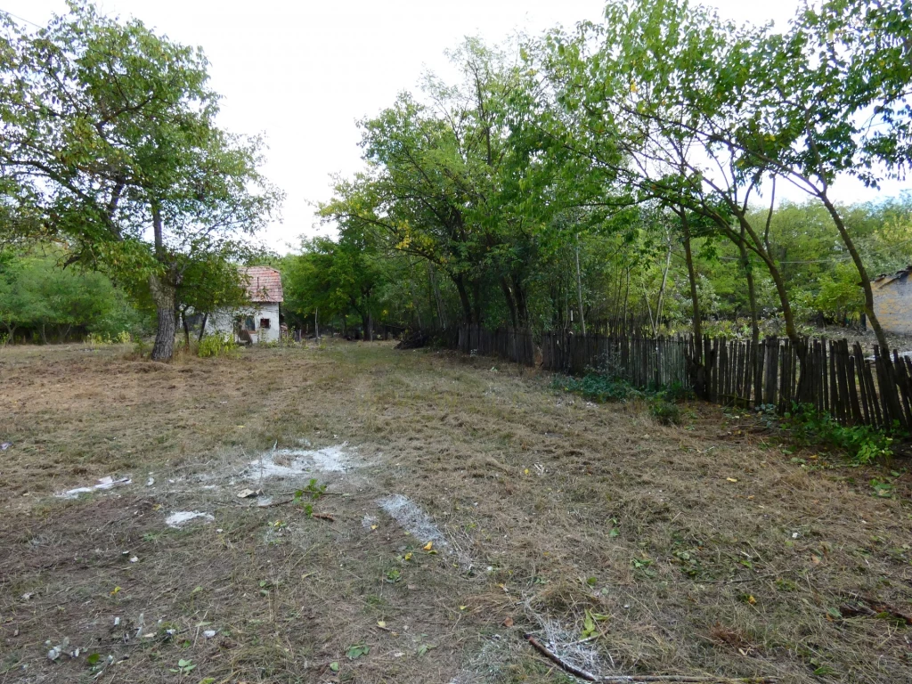 Eladó Mezőgazdasági, Mórahalom 39.900.000 Ft