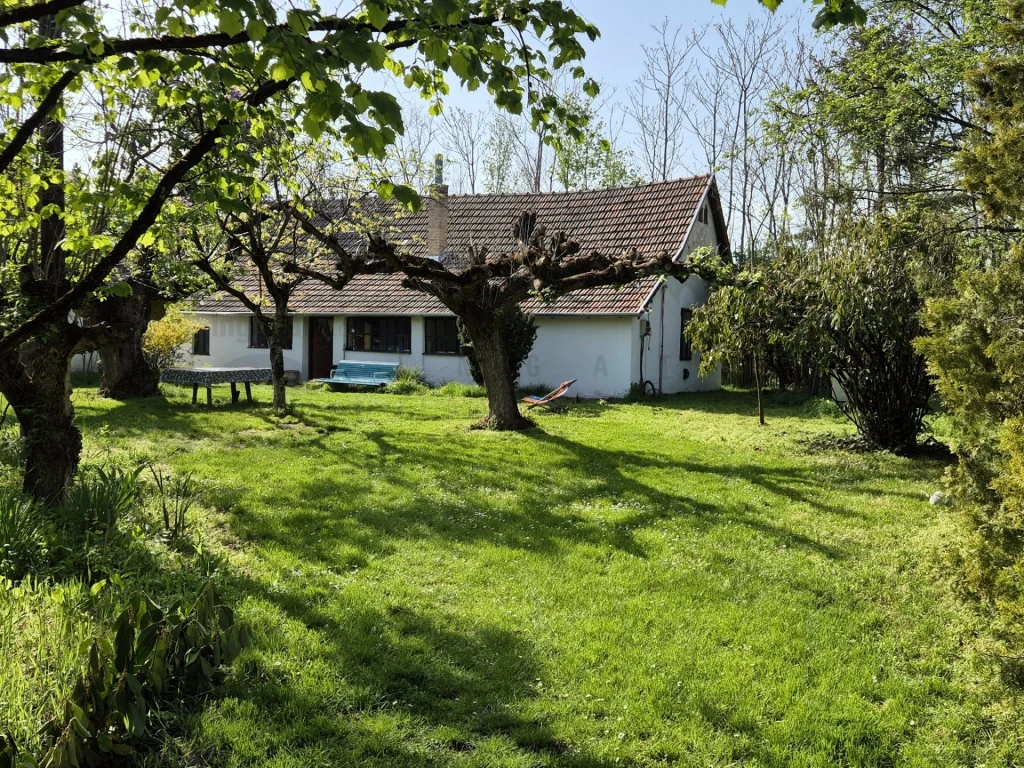 Eladó Mezőgazdasági, Domaszék külterület 36.900.000 Ft
