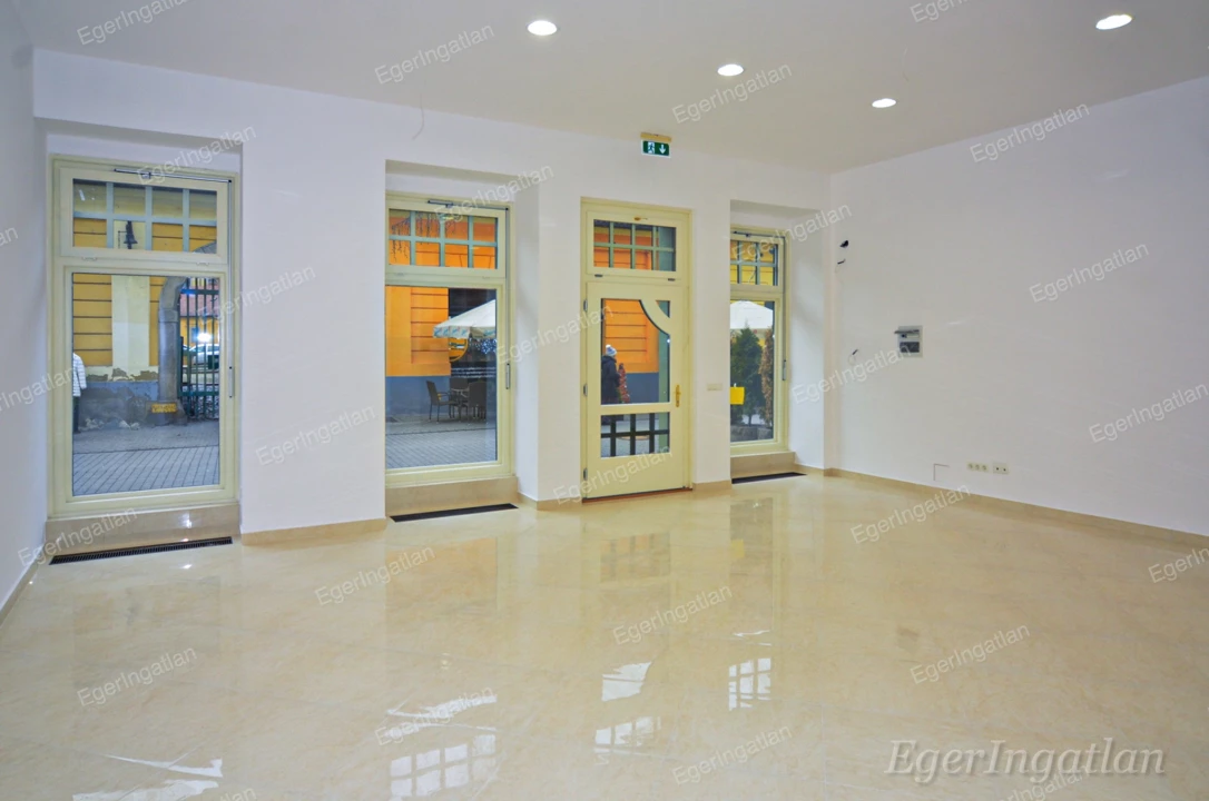 Kiadó üzlet, Eger