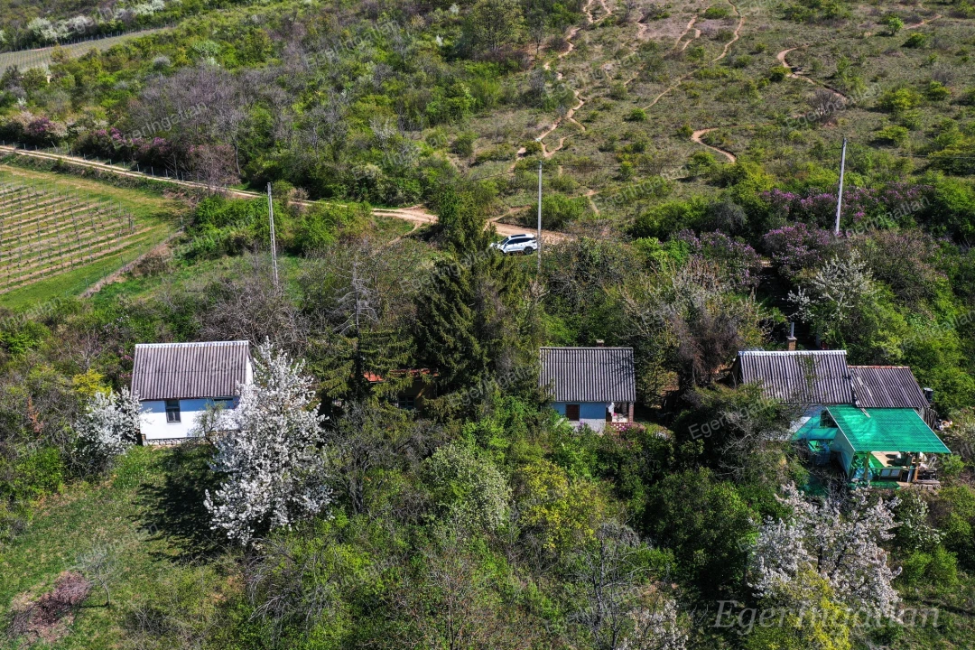 c3-1-name c2-81-name, Eger