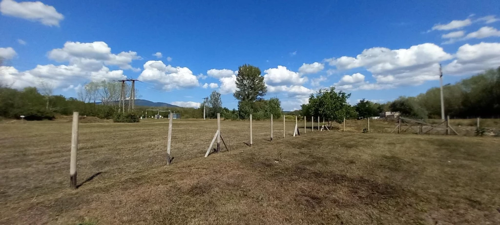 c3-1-name c2-1-name, Visonta