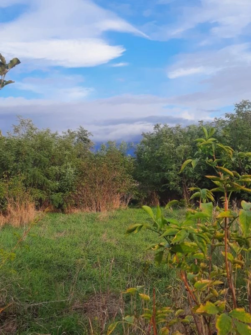 Eladó építési telek, Adács