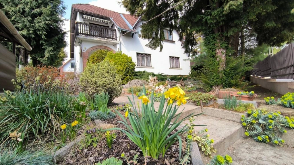 c3-1-name c2-1-name, Budapest XXII. kerület, Budatétény