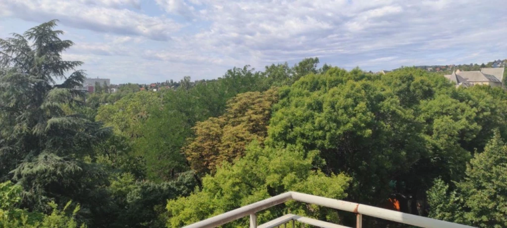 c3-1-name c2-19-name, Budapest XI. kerület, Kelenföld