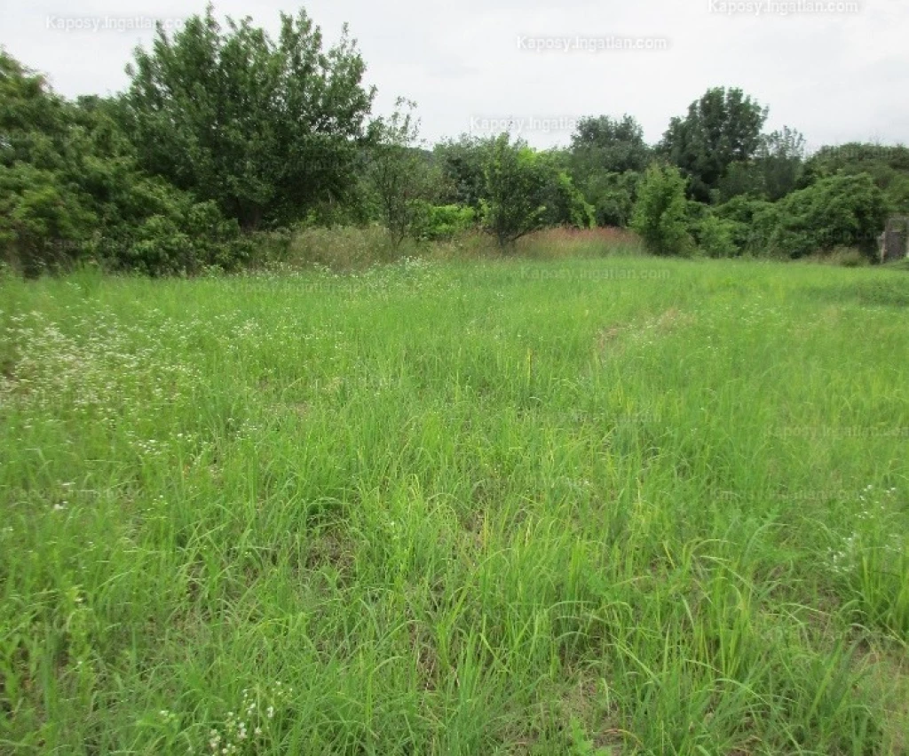 For sale building plot, Nadap