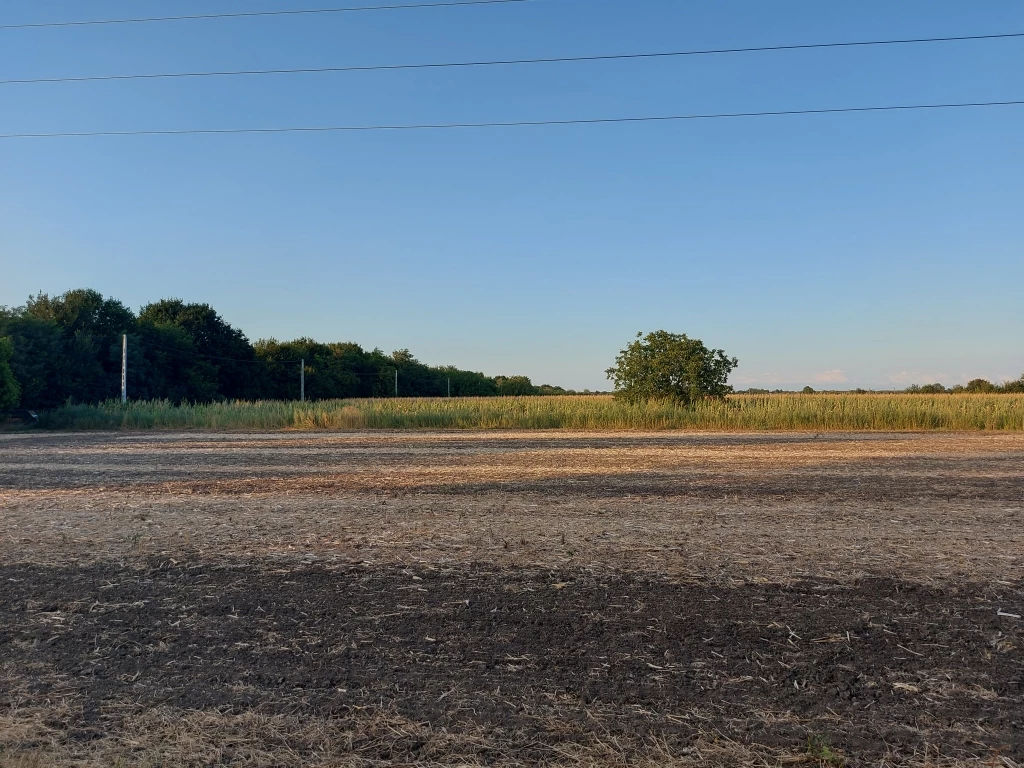 For sale plough-land, pasture, Gárdony, Kölcsey Ferenc utca