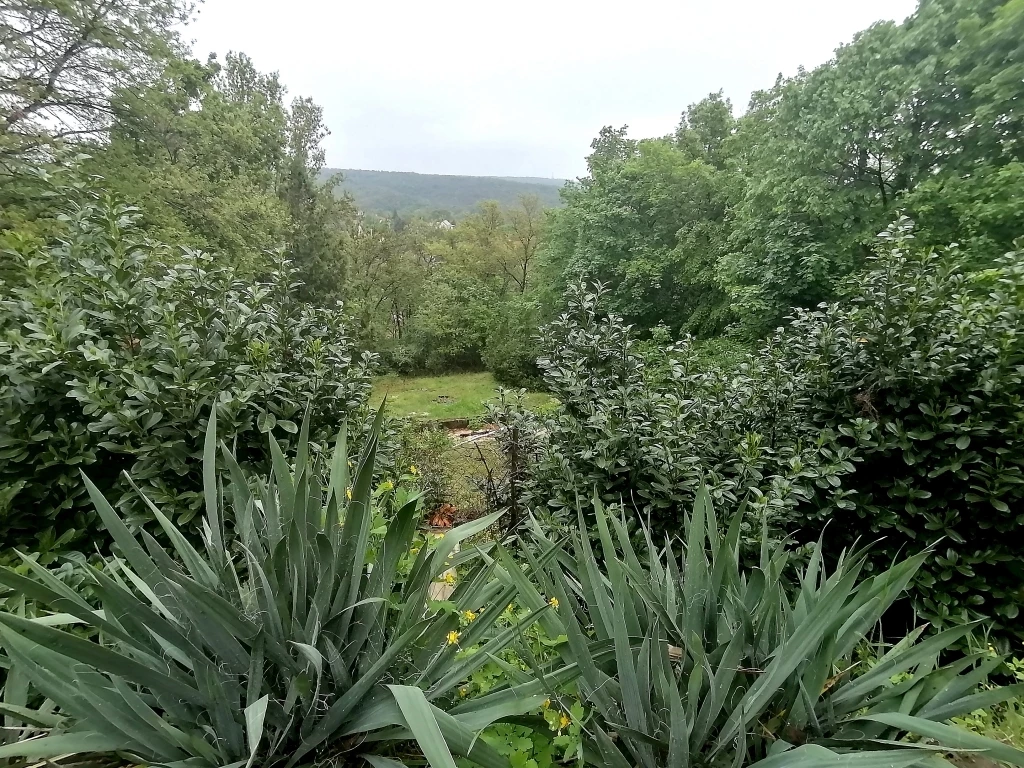 PANORÁMÁS TELKEN ÉPÜLT HÉTVÉGI HÁZ ELADÓ ÉRD-PARKVÁROSBAN!