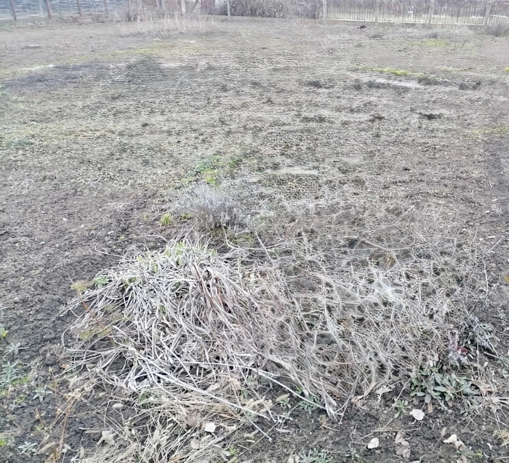 ELADÓ ÉPÍTÉSI TELEK PUSZTASZABOLCSON SZUPER HELYEN!