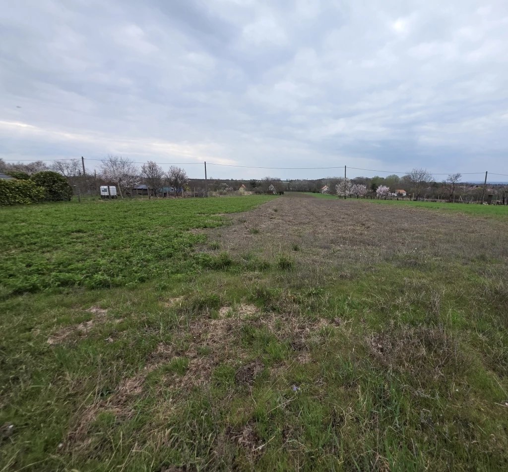 c3-1-name c2-53-name, Gárdony