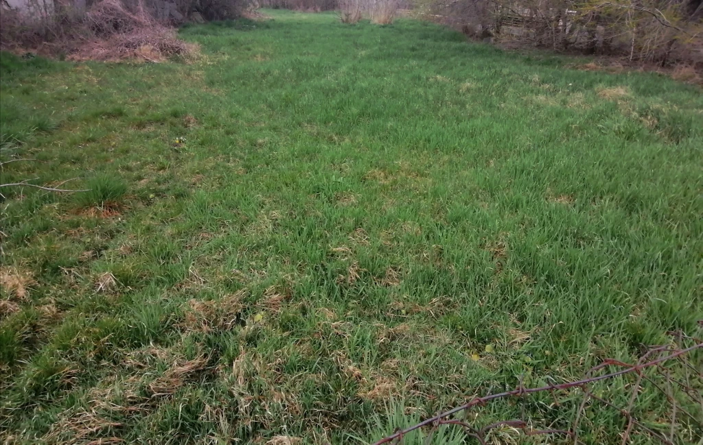 c3-1-name c2-50-name, Pusztaszabolcs