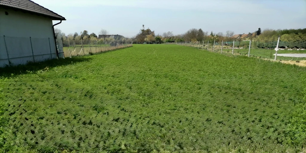 c3-1-name c2-50-name, Iváncsa