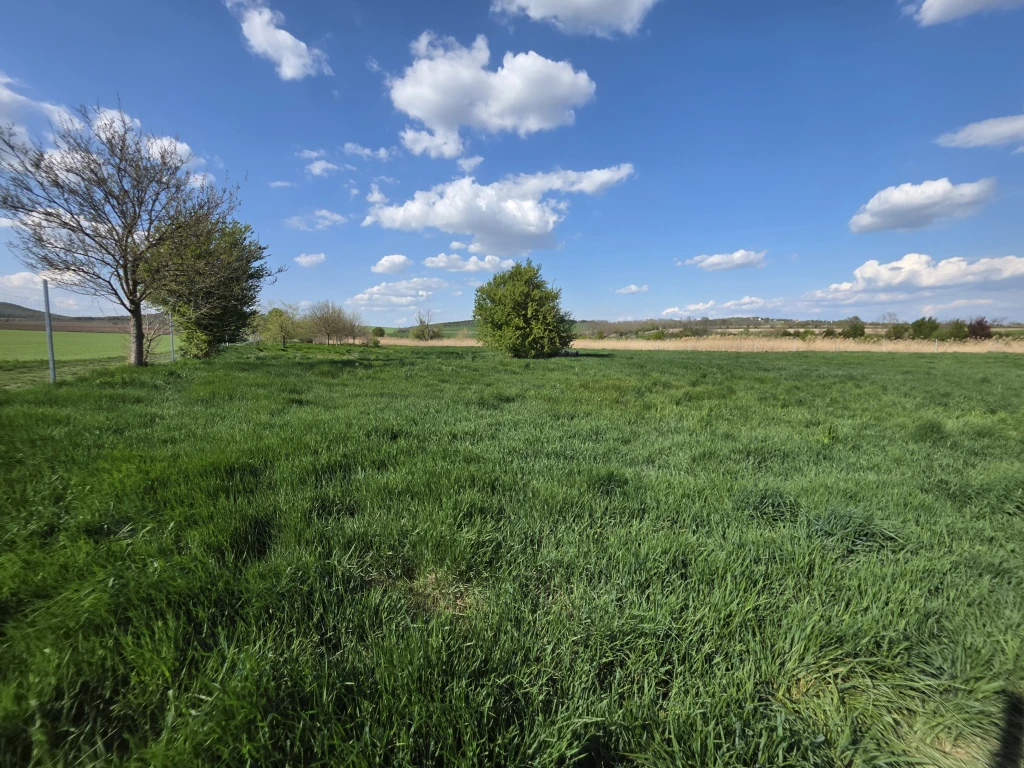 11.995 m2-es telekcsoport eladó Velencén