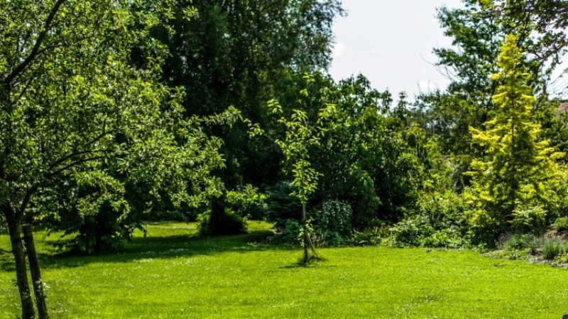 Eladó építési telek, Debrecen, Görömbei András utca