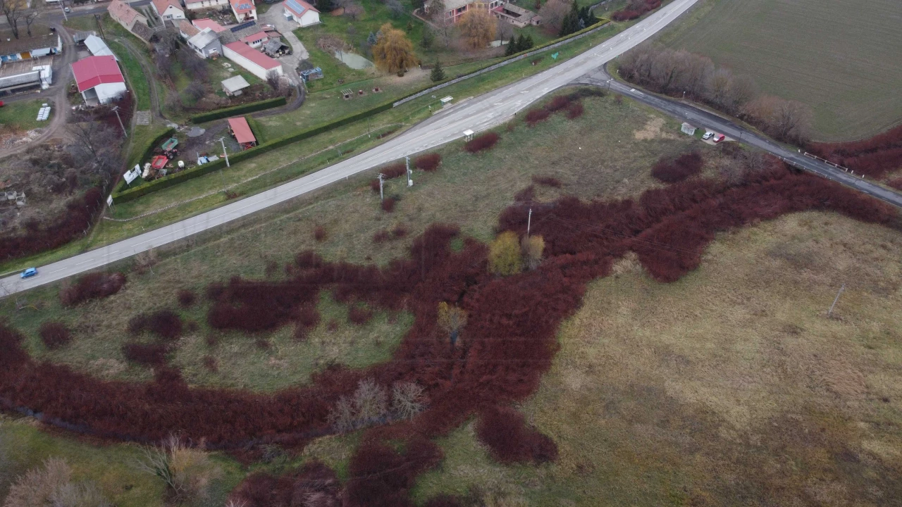 Eladó ipari telek, Mecseknádasd