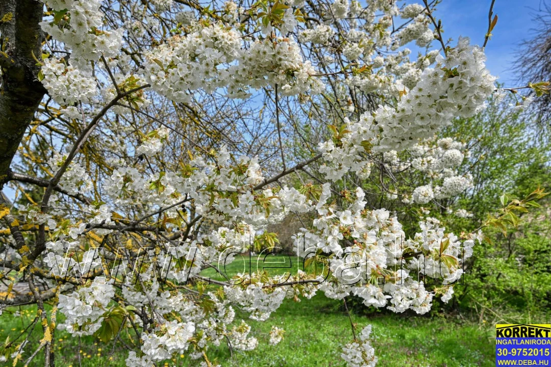 Eladó építési telek, Balatonlelle