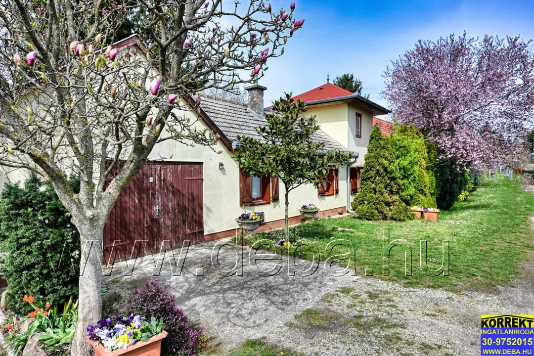 c3-1-name c2-1-name, Balatonboglár