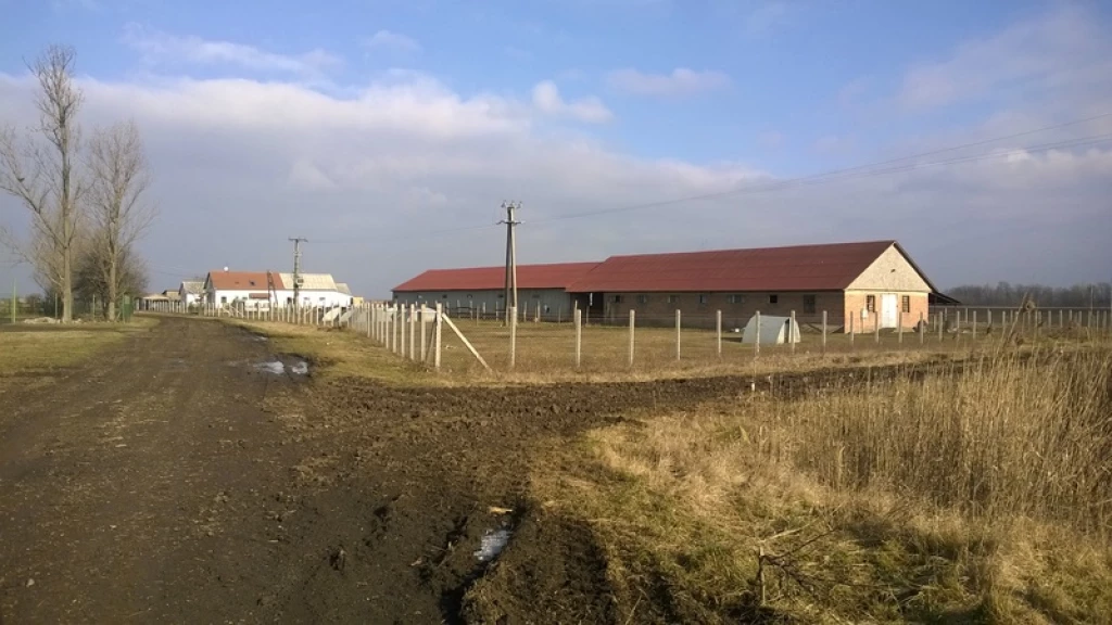 Szoboszlói Major Eladó