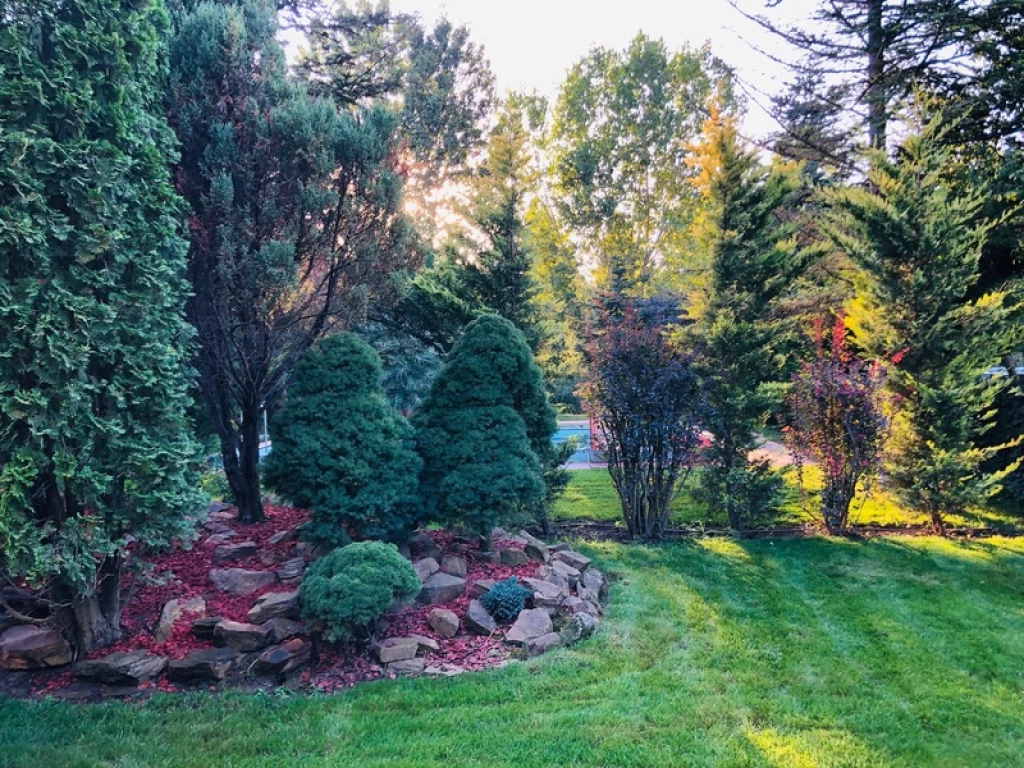 Kiadó dupla garázsos ház a Ligetben!