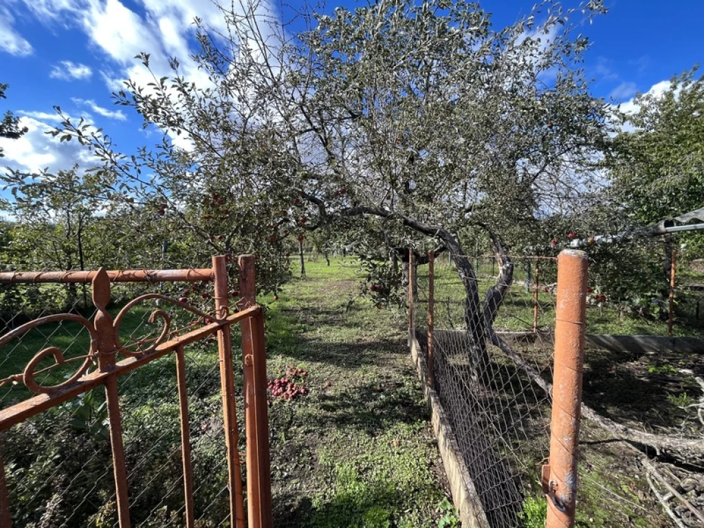 Felsőjózsa központi részén telket keres?