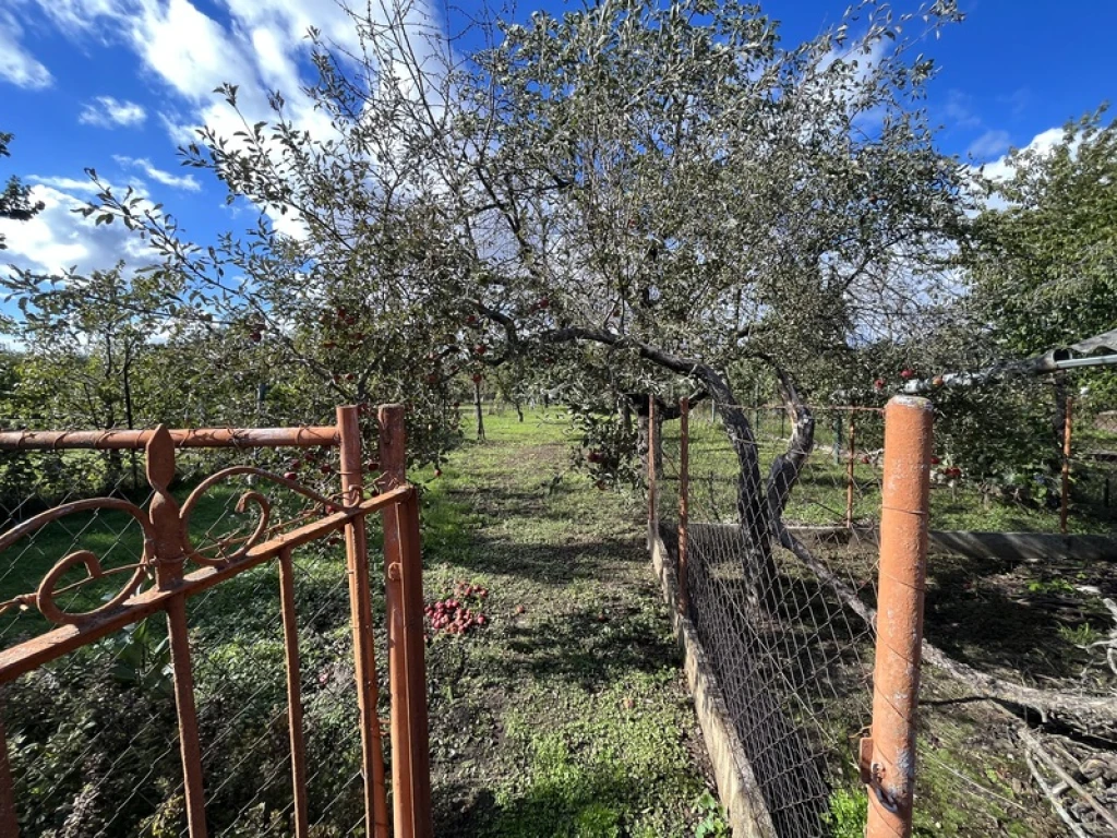 c3-1-name c2-50-name, Debrecen, Józsa