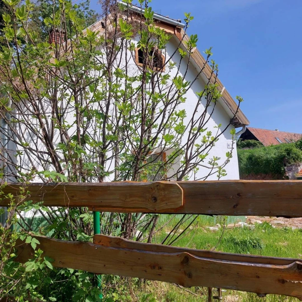 Eladó Családi ház, Nemesvita, 70nm, 59000000 Ft